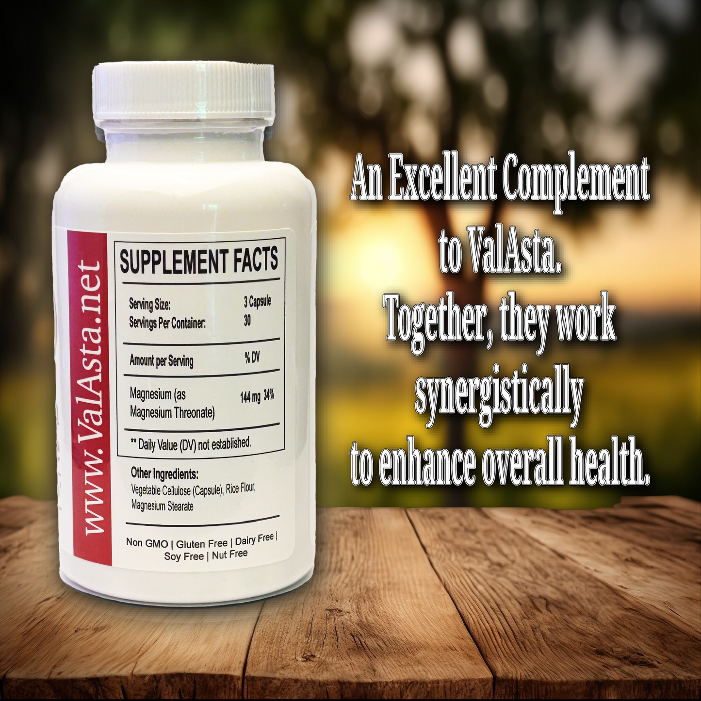 Magnesium Threonate - 90 Capsules