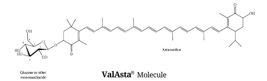Antioxidant Activity of Astaxanthin